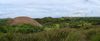 les Chocolate Hills